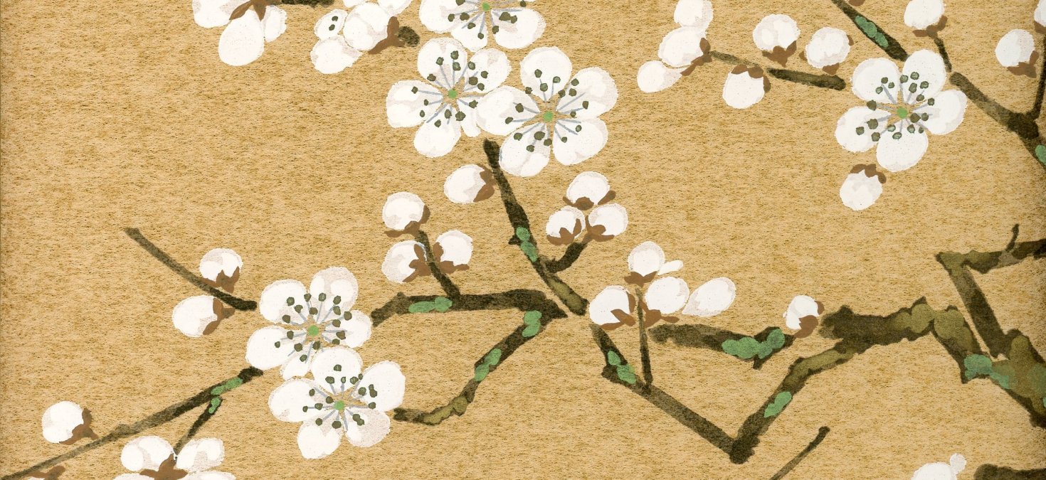 painting of plum blossoms