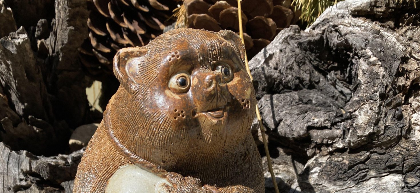 tanuki 2