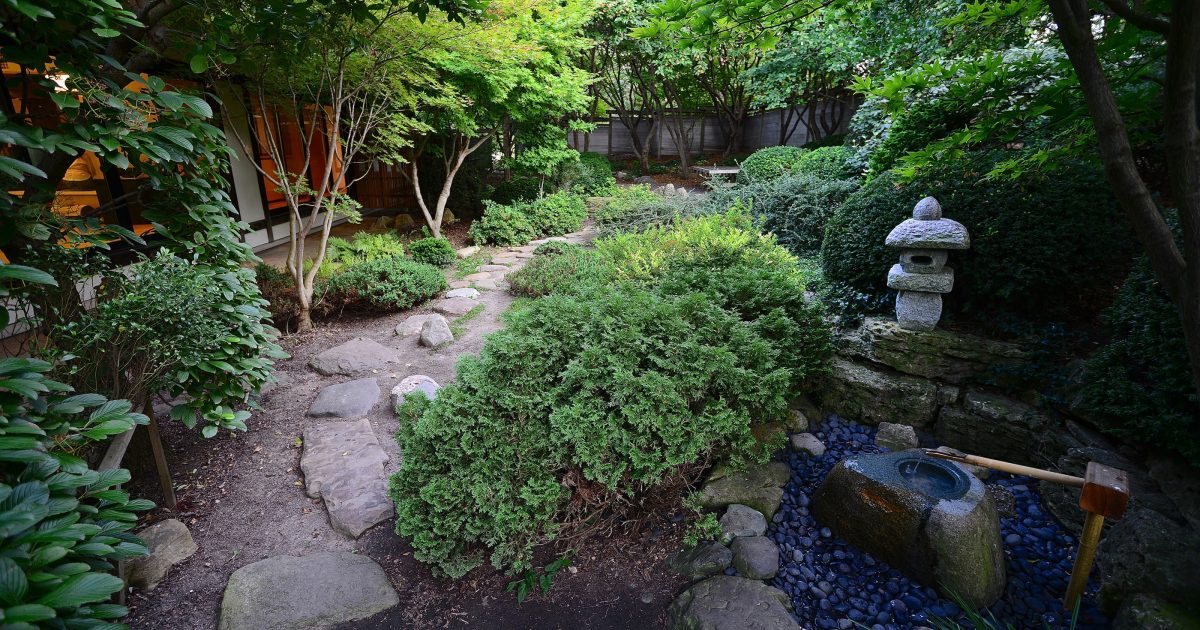 Japan House | The Tea Garden