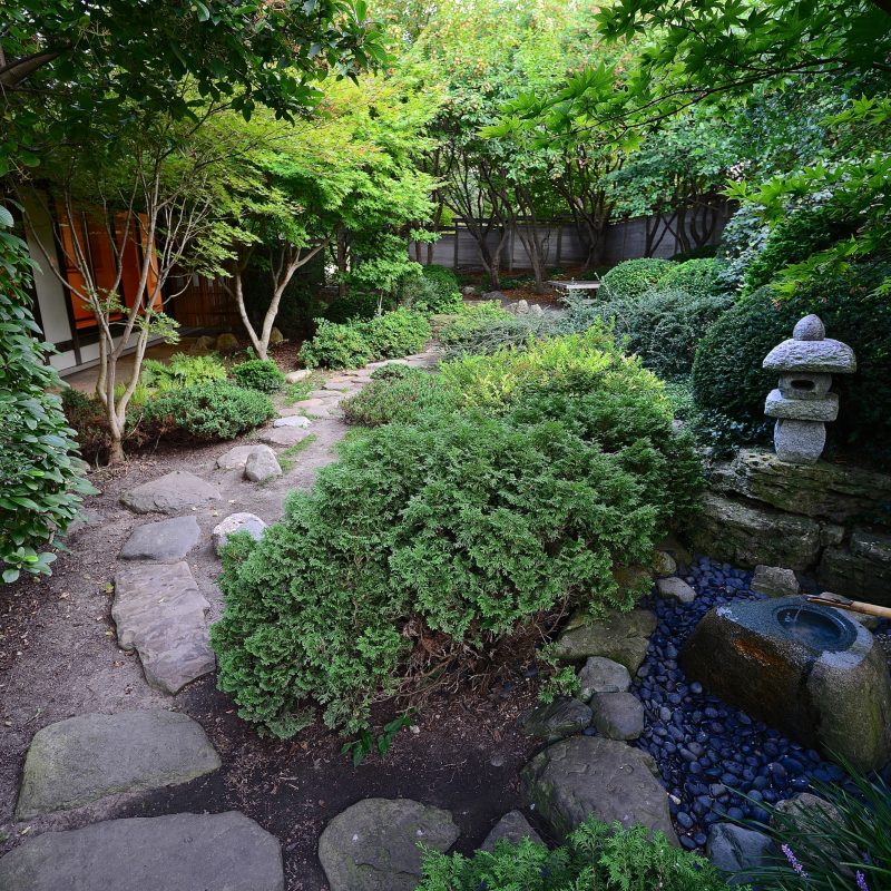 Japan House The Dry Garden, What Plants Go In A Zen Garden