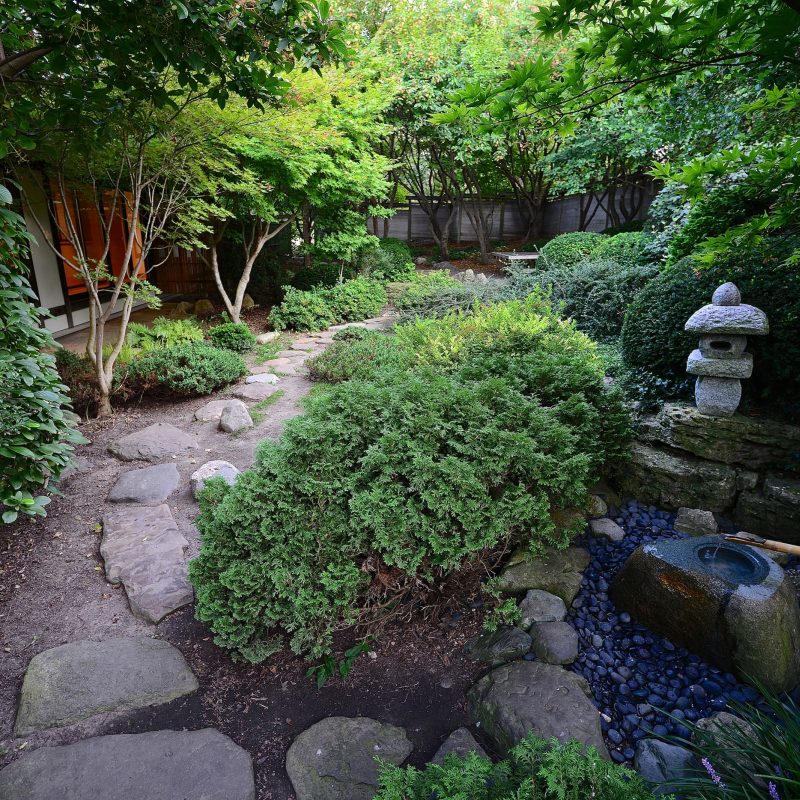 Japanese dry garden - Wikipedia